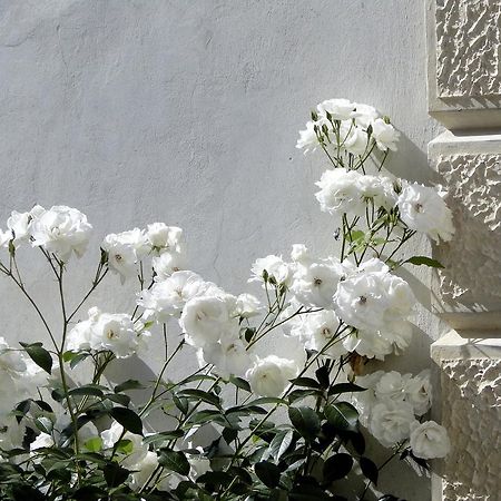 Villa Barberina Valdobbiadene Dış mekan fotoğraf